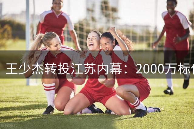 王少杰转投江苏内幕：2000万标价背后的CBA交易博弈